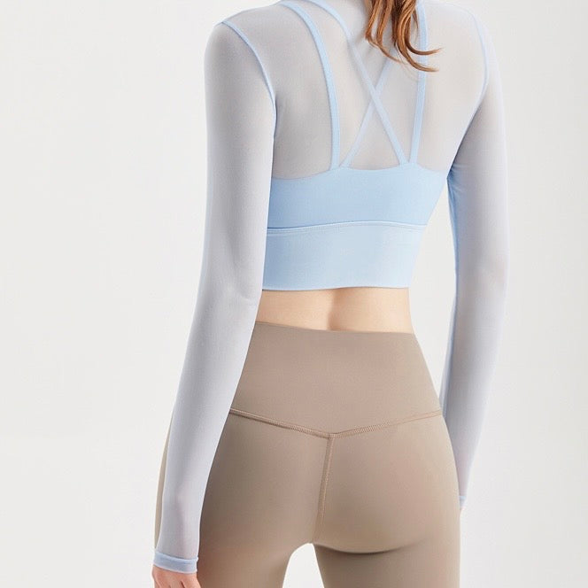 Long Sleeve Mesh Top (2 colours)